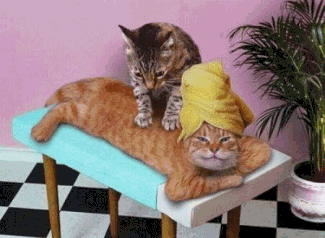 hahahahaaaa!!!!! le massage