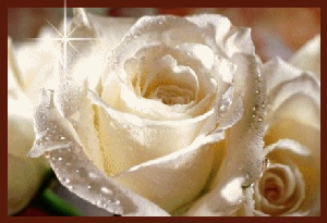 ohhhhhh!!!!belle fleure